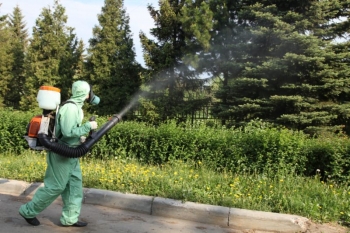 Уничтожение комаров в Апрелевке